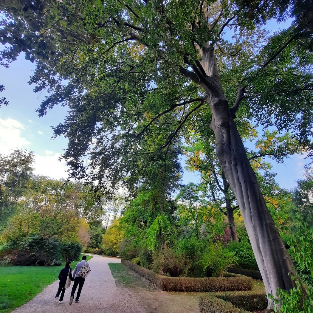 Jardin du Roi 3